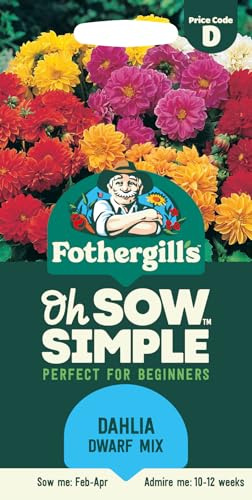 Fothergill's Oh Sow Simple, Dahlia Dwarf Mix Flower Seeds, Sow: Feb-Apr, Mixed Colors