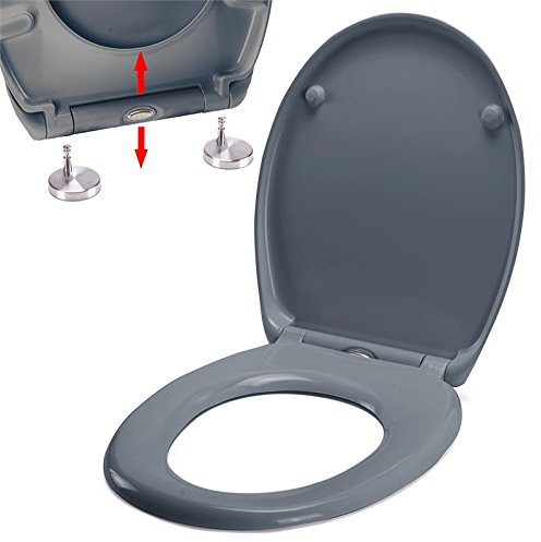 Spirella Sanitop-Wingenroth Abattant de WC Ovale avec Fonction de libération Rapide et Fermeture en Douceur Lunette de Toilette antibactérienne en Duroplast et Amovible en Acier Inoxydable Gris