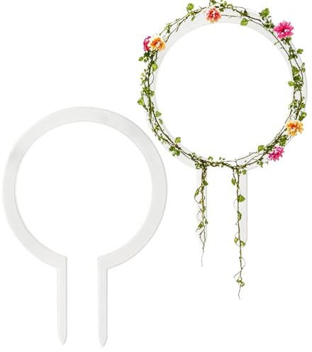 Krmoau Plant Trellis | Lot de 2 Tuteurs en Acrylique de 20 cm | Support pour Lierre et en Pot