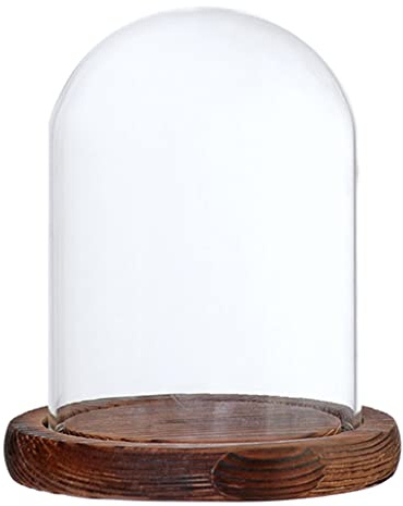 Sharplace Cloche en Verre Avec Dôme et Socle en Bois - Brown B