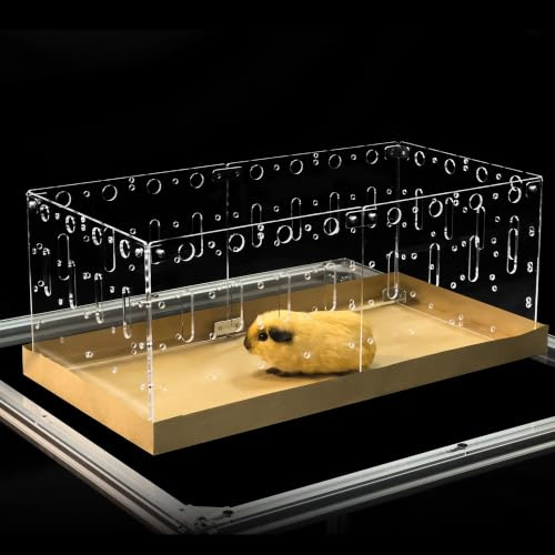 GuineaLoft™ Model-C2 Acrylic Cage - Small 2x1ft Open Cage