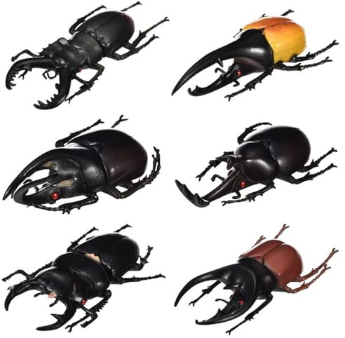 Vocoliday 6 Stück Halloween-Käfer-Modell, realistische Käfer-Figuren, künstliches Käfer-Modell für Halloween, Weihnachten, Geburtstag, Aprilscherz, Party