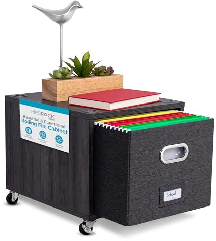 BIRDROCK HOME Rolling File Cabinet – Decorative Storage Shelf w/Removable Bins, Handles, and Wheels – Organize Files, Books, Toys, Under Desk Office Solution, Modern Design - 1 Lateral Drawer, Gray