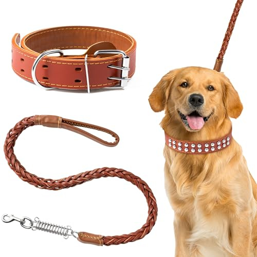 PANTIDE Leder-Hundeleine und Halsband, verstellbar, gepolstert, mit Metallschnalle, Niete für große Haustiere, langlebig, weich, passende Hundeleine mit Federkissen für Training, Spielen, Gehen (Braun