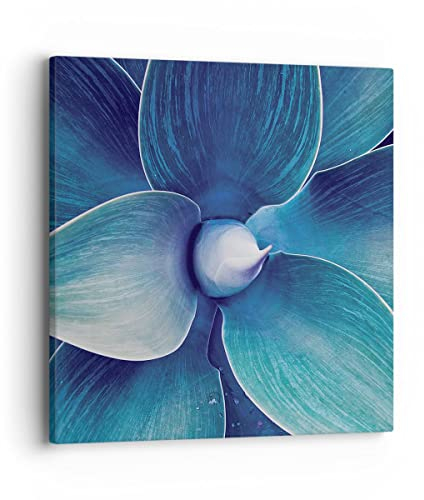 Bilder auf Leinwand 40x40cm Leinwandbild mit Rahmen Agave Blau Blume Klein Wanddeko Bild Schlafzimmer Küche Deko Wandbilder Dekoration Wohnzimmer Wall Decor Canvas Wand Kunstdruck Art AC40x40-4972
