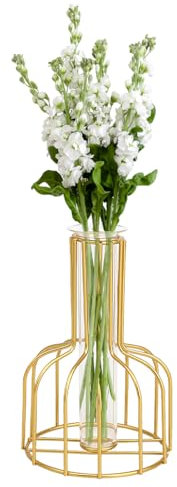 KyeeaDIY Flower Vase with Metal Frame Gold Iron Art Vase Plant Propagation Station Desktop Test Tube Hydroponic Vases Plant Holder for Flowers Wedding Party Garden Home Decor (Gold)