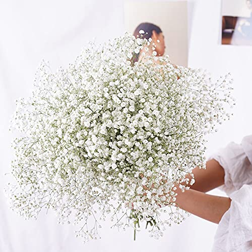 YIWOYI Ramo de flores secas naturales Gypsophila Paniculata preservadas para decoración del hogar y fiestas de boda (blanco, 30-40 cm, 30 g)