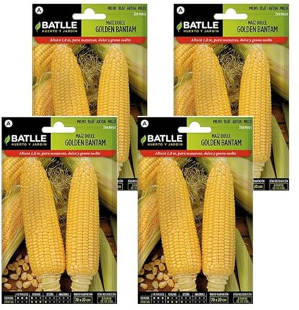 Semillas de maiz dulce bantam de Semillas Batlle PACK (4)