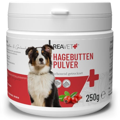 ReaVET Hagebuttenpulver für Hunde 250g – Naturrein in Premiumqualität, Stärkt Immunsystem + Gelenkfunktion, Reichhaltig an Vitamin C I Hagebutten Pulver für Hunde & Katzen, Ohne Zusätze