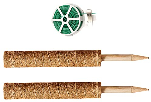 ＣＨＡＭＥＥＮ Kokosstab Pflanzstab Kokos Rankstab Rankhilfe Blumenstab Moosstab für Pflanzen Pflanzstab Monstera Rankstab Rankhilfe Kokosstab für Kletterpflanzen