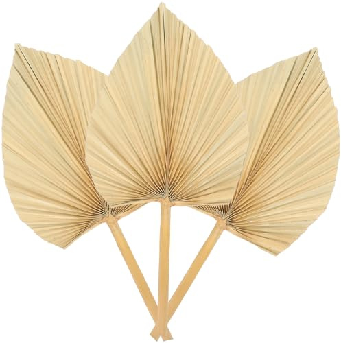 OATIPHO Decoración Hojas de Palma Secas 3 Piezas Abanicos de Palma para Ambientes Boho y Escenarios de Fotografía