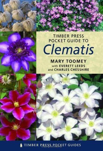 Timber Pocket Guide Clematis
