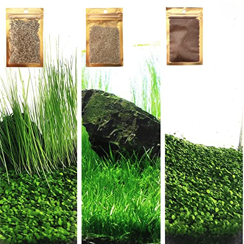 ZUQOVI 3 Aquarium Plants Set, (0.36ozTiny+0.36oz Long+0.36oz Short) Fresh Water Replacement for artificial, not Plastic, 3 types (0.36ozTiny+0.36oz Long+0.36oz Short) 28ABC, Green