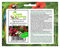 Pcs - 800x Bégonia Mixte Begonia Rügen Semperflorens Arbuste Jardin Plantes - Graines K13 - Seeds & Plants Shop by Ipsa