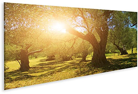islandburner Prime Bild auf Leinwand Olivenbäume Plantage Bilder Wandbilder Poster
