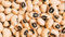 CALIFORNIA occhio nero (cowpeas) SEMI fagioli fagiolo-BUSH occhio nero