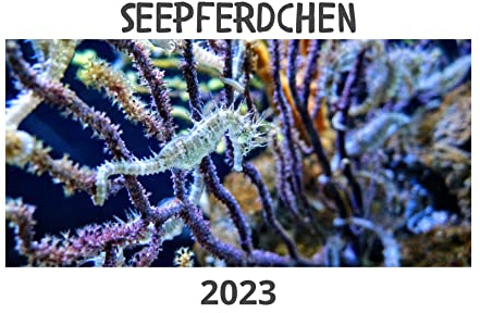Seepferdchen: Kalender 2023
