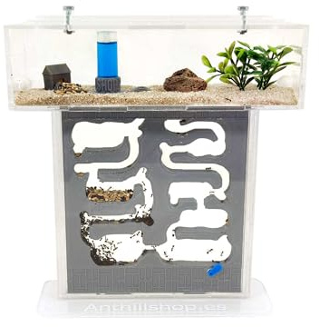 Hormiguero Kit T-Pequeño Pro - Galería 3D Gris┃con Hormigas Gratis【Granja de hromigas】- Nuevo Sistema de Humedad