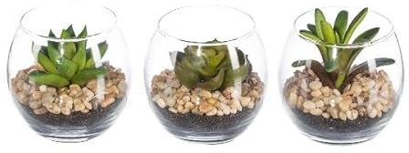 artplants.de Deko Sukkulenten Gesteck WINKS im Glas, 3 Stück, grün, 7cm - Künstliches Gesteck