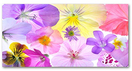 Tulup Acrylglas - Wandkunst - Bild auf Acrylglas Deko Wandbild hinter Kunststoff/Acrylglas Bild - Dekorative Wand für Küche & Wohnzimmer 120 x60 cm - Blumen & Pflanzen - Stiefmütterchen - Mehrfarbig