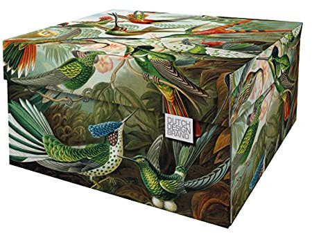 Dutch Design Brand Dekorative Aufbewahrungsboxen mit Deckel – Größe: 38,9 x 31,8 x 21,1 cm – FSC zertifizierter recycelbarer Karton (Druck: Kunst der Natur), Art Of Nature