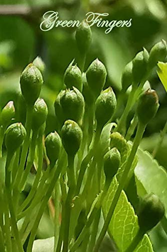 Green Fingers: Gardening Journal