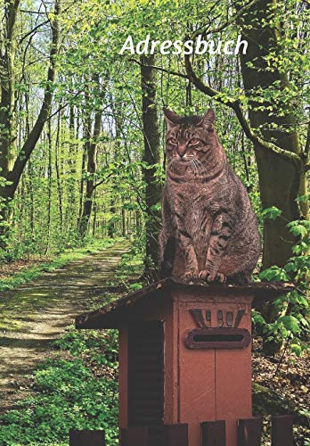 Adressbuch: Buch für Telefonnummern, E-Mails, Geburtstage, Jahrestage und wichtige Informationen mit einer Katze auf einem Briefkasten (Katzen)