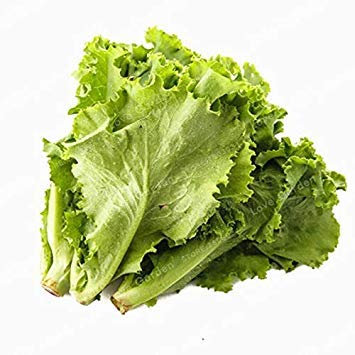 Semi Lattuga Salute Deliziosi 100 Pz; Colore 4