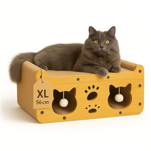 Cama Rascador para Gato de Cartón Ecológico + Guia Gatuna Exclusiva | Doble Capa | Casa para Gatos Medianos y Grandes | Sostenible, Resistente y Cómoda | con Zona de Juego y Descanso| 56 * 30 * 24cm