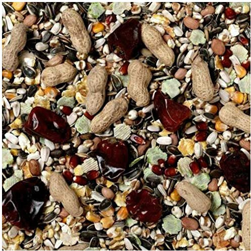 Johnston & Jeff 5kg No 1 Parrot bird seed food sold by Trusty Pet Supplies