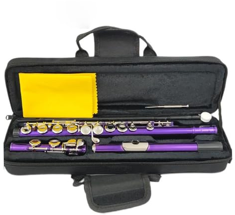 Flöte Für Anfänger Anfängerflöte 16 Geschlossene Löcher C-Tasten Instrument Vernickeltes Kupfernickel Violette Flöte Mit E-Taste