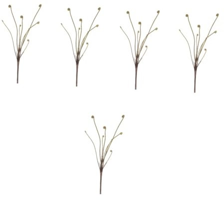 PRETYZOOM 5pcs Realistic Fake Ferns Simulated Ferns Craft for Decor Photo Props Teaching Fake Greenery