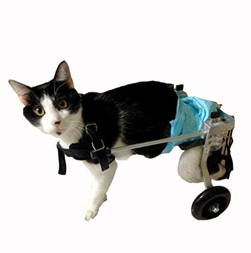 Cora Pet Rollstuhl Rollwagen für klein Hunde Katze Hase, Hinterbein/Hintere Füße, Hunderollstuhl Gehhilfe Hundegehilfe Hunderollwagen, Dog Wheelchair für Haustier Gewicht innerhalb von 11 Pfund