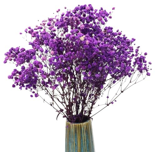 TooGet Fiori secchi naturali Babys Breath Bouquet Rami di Gypsophila per la decorazione della casa, matrimonio, decorazione della tavola, corona floreale fai da te, fiori secchi sfusi per vaso
