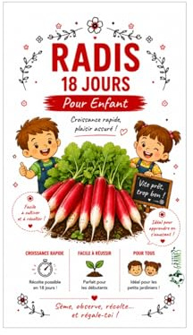 250 graines radis 18 jours demi long - radis rouge - croissance rapide -