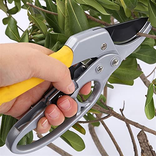 CLLBANT Blumenschere, Starke Gartenschere, handgeführte Gartenschere, Gartenschere für den Wald, Pflanzenschere, Garten-Schnittwerkzeuge zum Beschneiden Kleiner Zweige mit einem Durchmesse