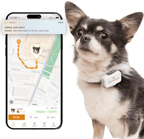 Pawfit Lite GPS-Tracker mit 4G für kleine Hunde | Tracking in Echtzeit | Aktivitätsüberwachung |Standortverlauf | Unbegrenzte Reichweite | Onyxschwarz