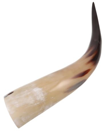 GRADENEVE Taza de Cuerno de Buey Natural 36-40 Cm Grande para Hidromiel y Cerveza Vikinga, Vaso Rústico Medieval Multifuncional para Decoración y Uso en Fiestas y Eventos Temáticos