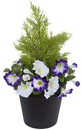 GreenBrokers Petunie Artificiali Viola e Bianche in Finta Seta con Arte topiaria di conifere in Vaso Nero, Ideale per casa, Patio, Giardino, Vita all'aperto, 60 cm