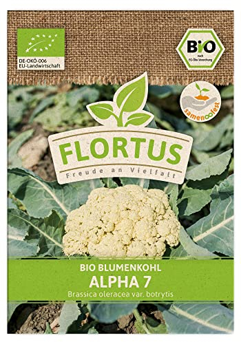 FLORTUS BIO Blumenkohl Alpha 7 | Gemüsesamen | Kohlsamen | Blumenkohlsamen | Samen zur Anzucht für Garten, Balkon, Küche & Fensterbank