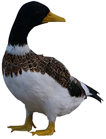 rockible Dekorative Vogel Figur für den Garten - Ente, 32x20x12cm