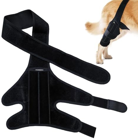 Uozonit Tirantes para Patas de Perro, Protector de Rodilla Ajustable para Perro, cómodo Protector de Rodilla para el Cuidado de Lesiones en Las piernas, Evita heridas por