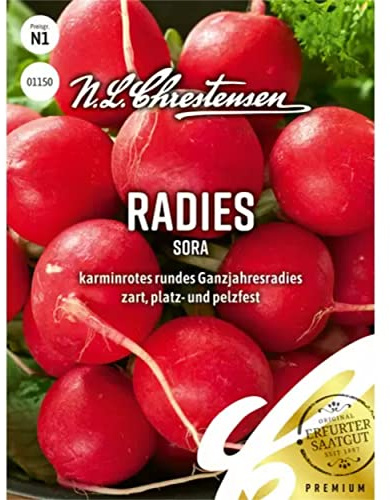 Chrestensen Radies Sora Samen - Ganzjahressorte XXL 6cm Platzfest - Karminrot Knackig Mild - Raphanus sativus Saatgut - Samenfest - Radieschensamen Freiland Hochbeet Schnellwachsend