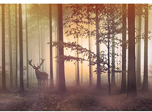 Runa Art Papel tapiz fotográfico 396 x 280 cm niebla bosque ciervos | Lana Decoración De Pared Sala Cuarto | Fabricación alemana | fuerte 9338012c