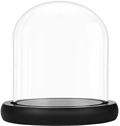 Belle Vous 10 cm Campana in vetro con base nera in legno, mini campana in vetro trasparente per luci, piante, decorazione da tavolo