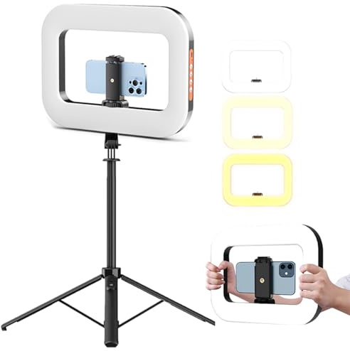 Rechargeable Selfie Portable Ring Light – Adjustable Bicolor Fill Light, Smartphone Video Rig with Lights, 3 Light Modes Handheld LED Ring Lights Selfie Lights Phone Video Stabilizer for Phone (C)