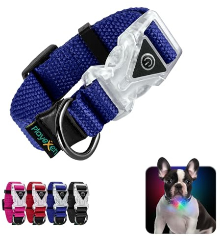 Leuchtendes Hundehalsband Verstellbares Hundehalsband aus weicher Baumwolle für Hunde & Katzen Kleine Mittlere Große LED-Hundehalsband 2 Blitzmodi Hundehalsbänder 20-30/2,0 cm (XS), Blau