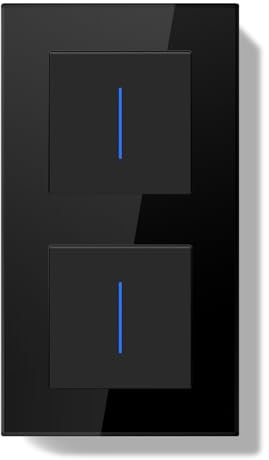 BSEEDLIFE Interruptor Pared Doble,Interruptor de Pared con Marco de Cristal con LED Indicador,1 Gang 1 Vía+1 Gang 1 Vía,Fácil Instalación Diseño de Gancho de Garra,157 * 86mm Negro