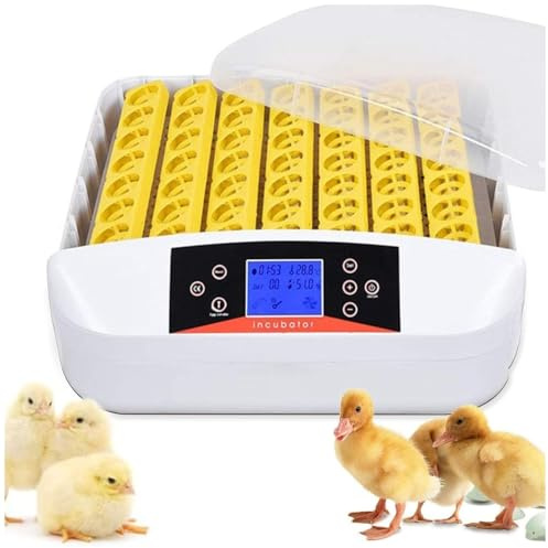 ZOLTA Automatischer Inkubator für 56 Eier LED Ei Tester Temperatur Feuchtigkeitsregler Alarm Hühner Gänse Wachteln Enten Drehfunktion Brutmaschine Brüter Brutkasten mit Display und Zubehör