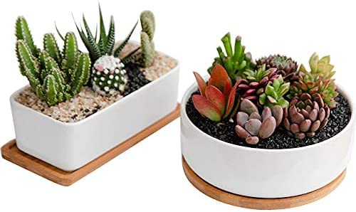 disdain 2 set of Plant Pots Indoor, white Ceramic Plant Pot Small Plant Pots for Home Office Decoration(1 set rectangular+1 set round)